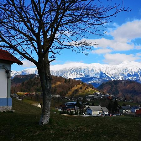 Apartmaji Volf Zgornje Gorje Exteriör bild