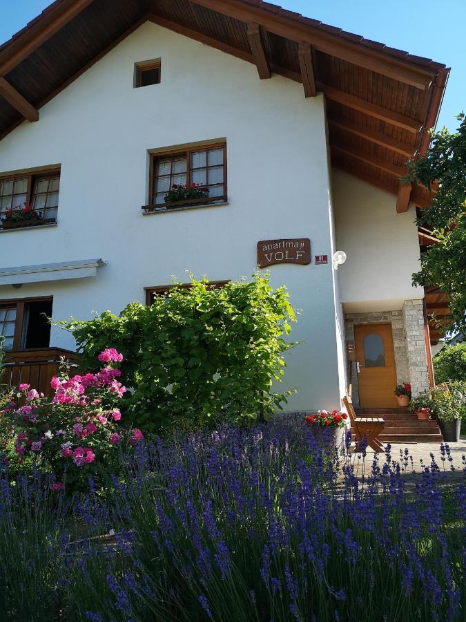 Apartmaji Volf Zgornje Gorje Exteriör bild