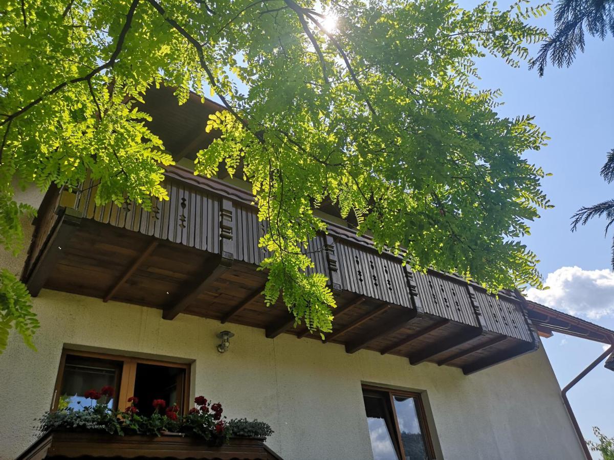 Apartmaji Volf Zgornje Gorje Exteriör bild