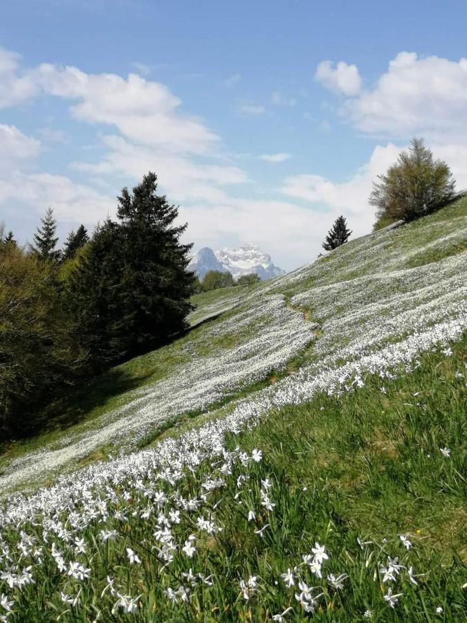 Apartmaji Volf Zgornje Gorje Exteriör bild
