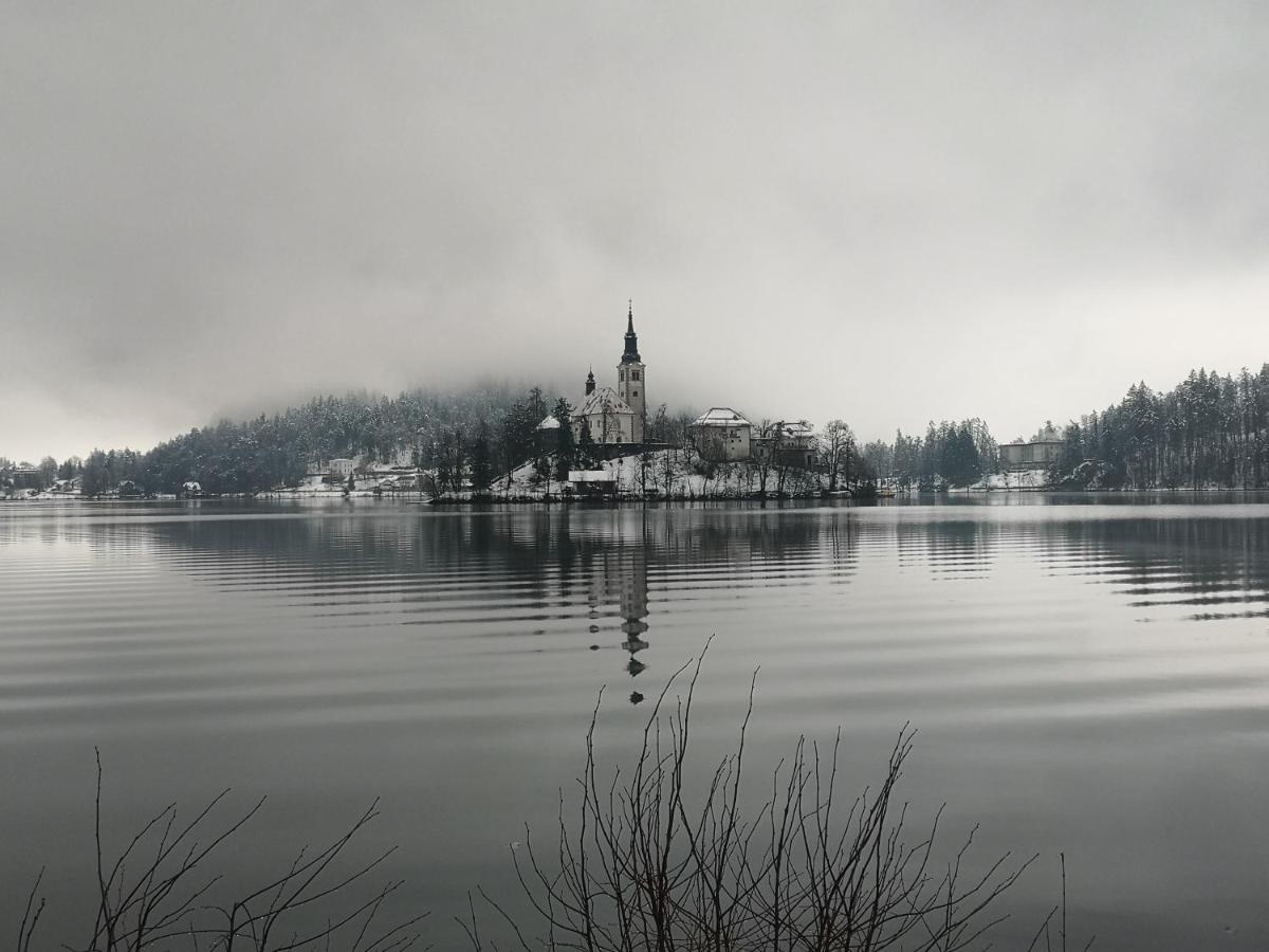 Apartmaji Volf Zgornje Gorje Exteriör bild