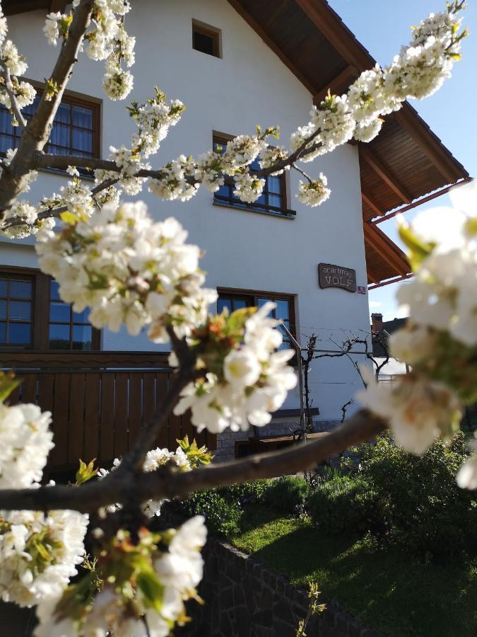 Apartmaji Volf Zgornje Gorje Exteriör bild