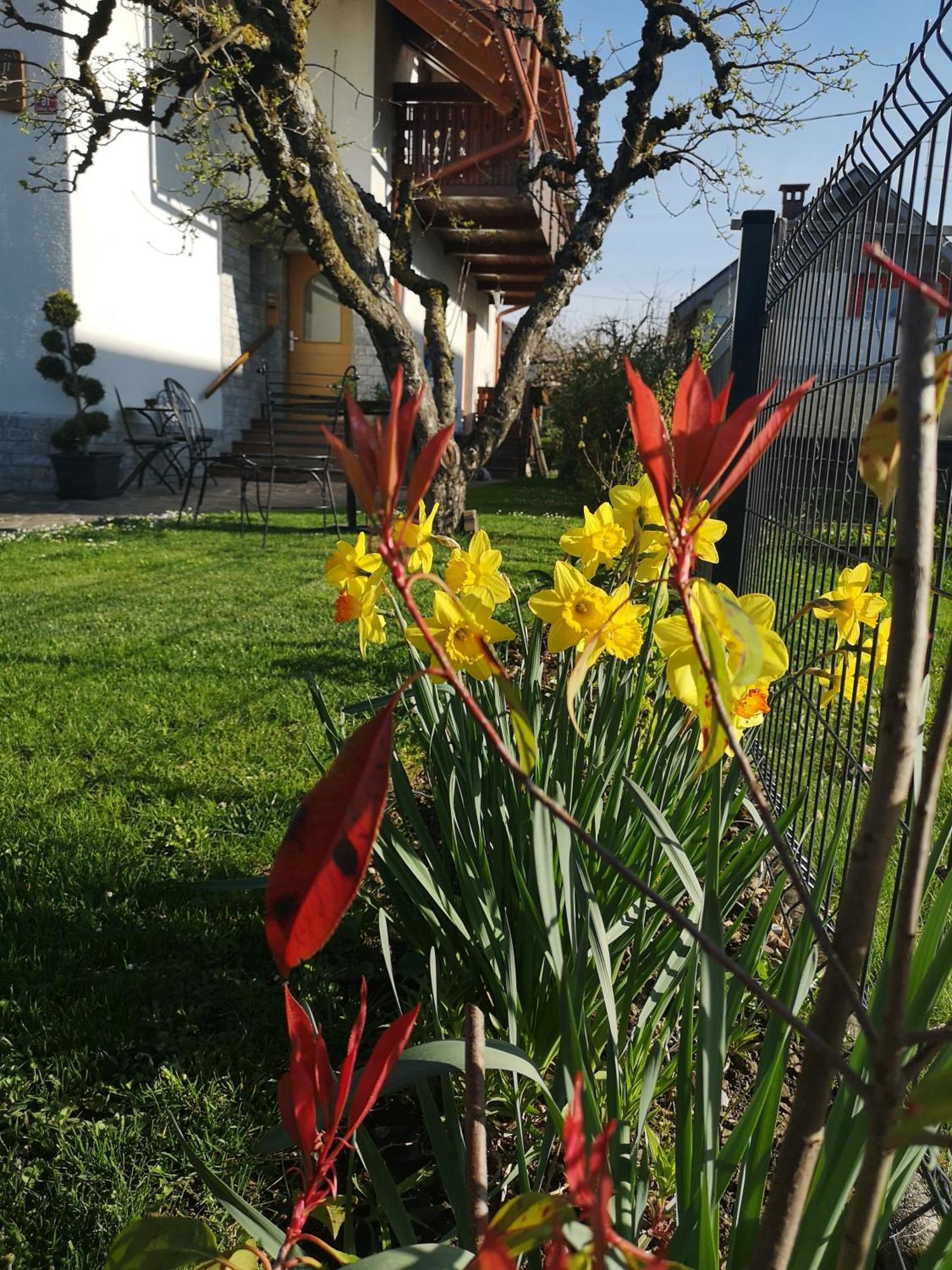 Apartmaji Volf Zgornje Gorje Exteriör bild