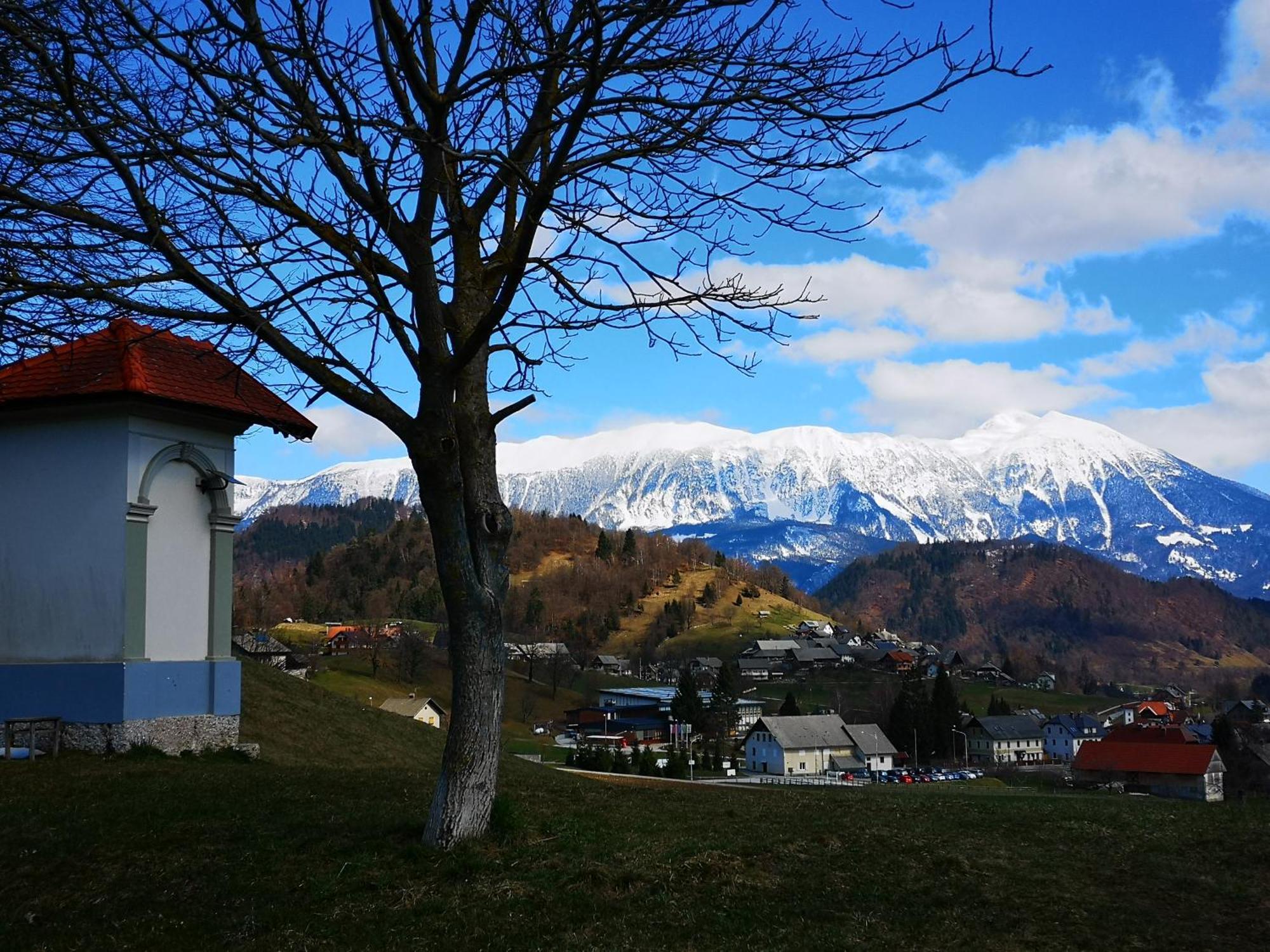 Apartmaji Volf Zgornje Gorje Exteriör bild