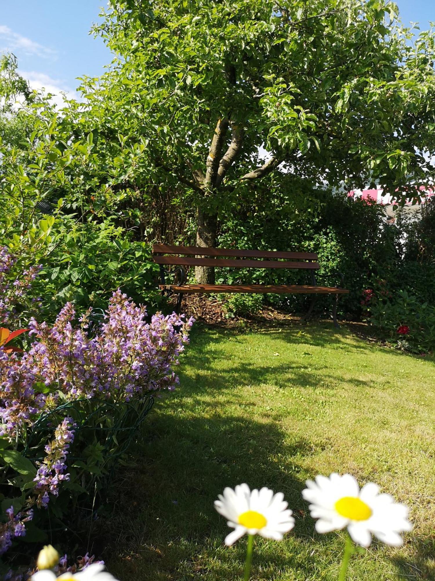 Apartmaji Volf Zgornje Gorje Rum bild