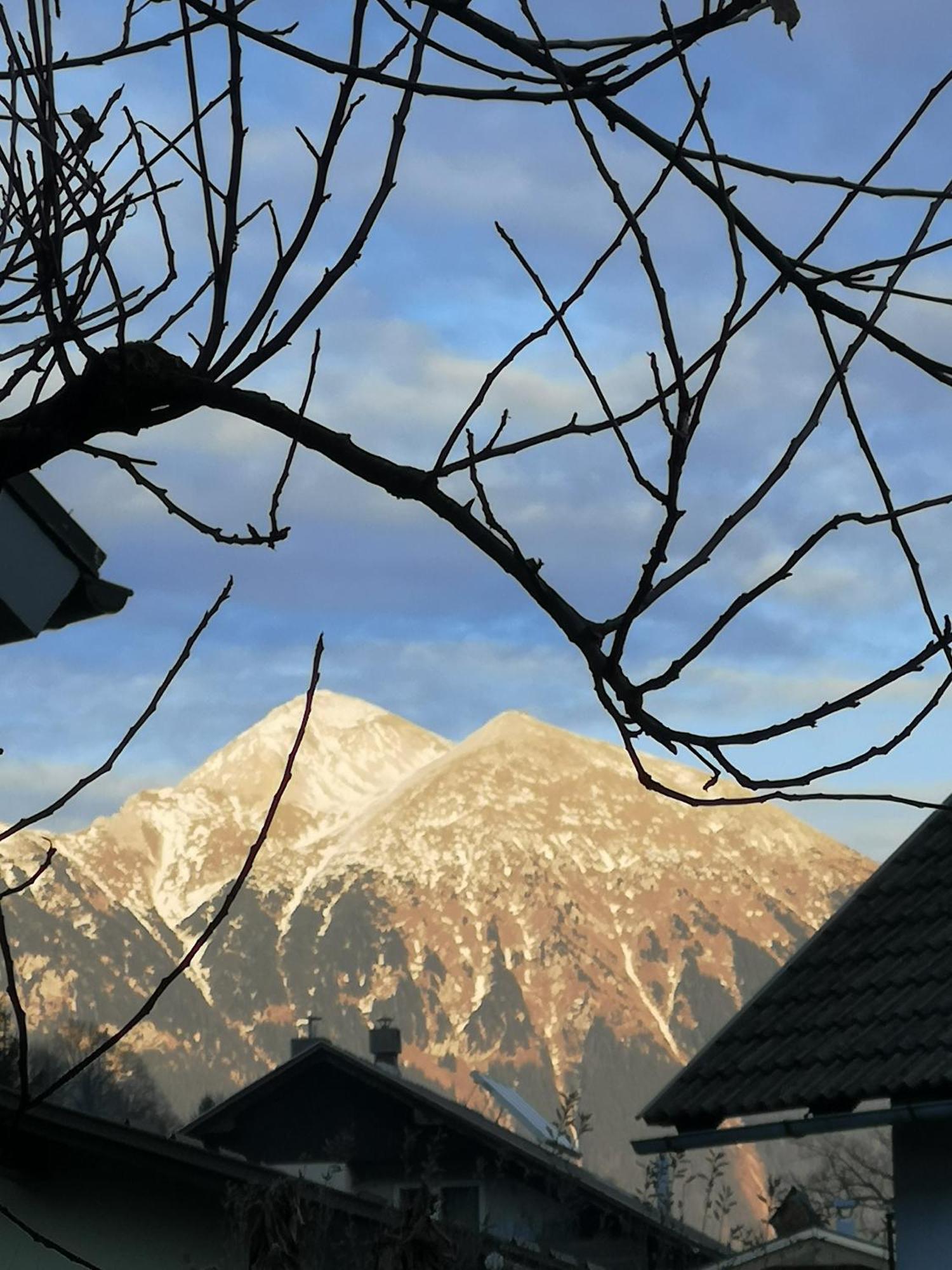 Apartmaji Volf Zgornje Gorje Exteriör bild