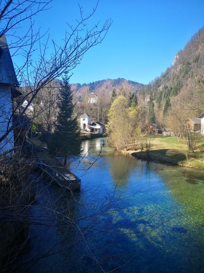 Apartmaji Volf Zgornje Gorje Exteriör bild