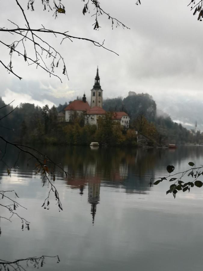 Apartmaji Volf Zgornje Gorje Exteriör bild