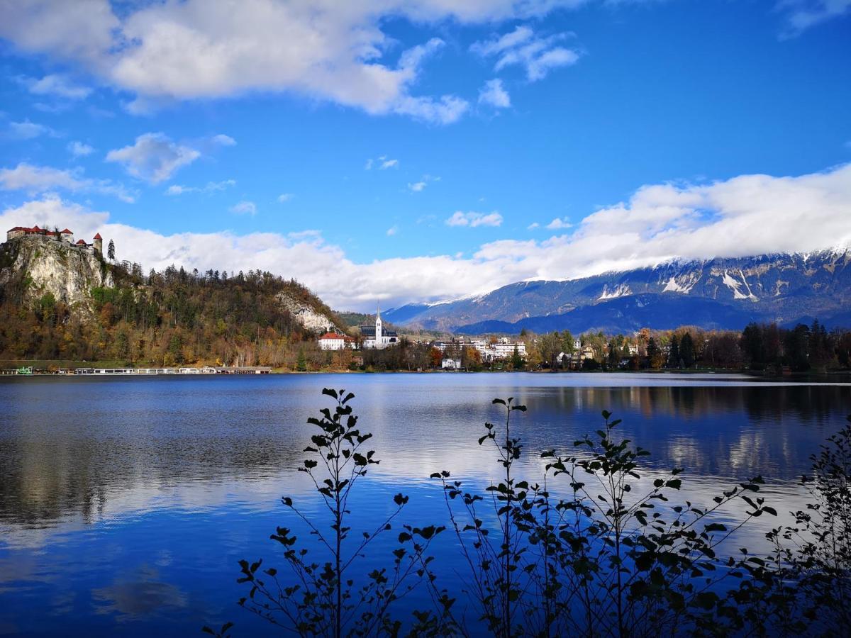 Apartmaji Volf Zgornje Gorje Exteriör bild